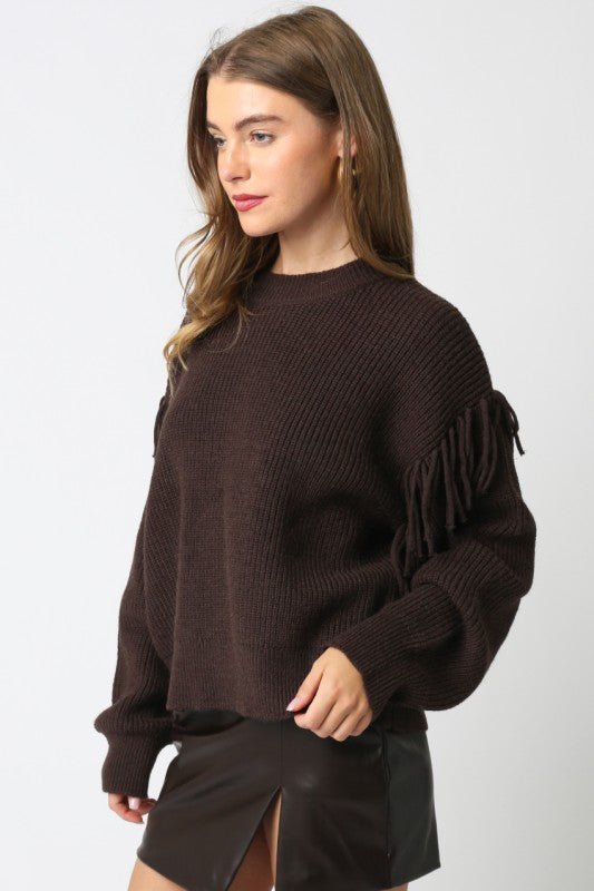 Trailweave Finge Sweater