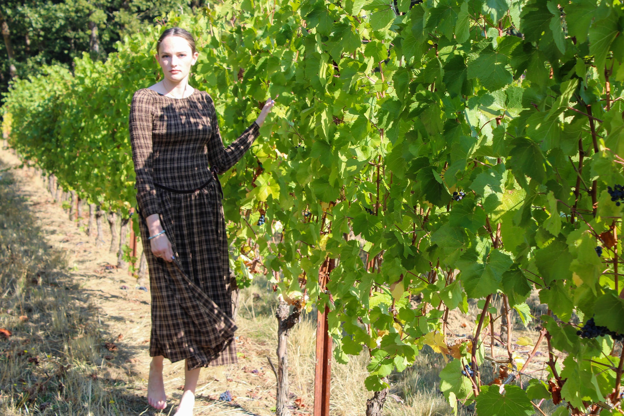 Chestnut Plaid Midi Dress