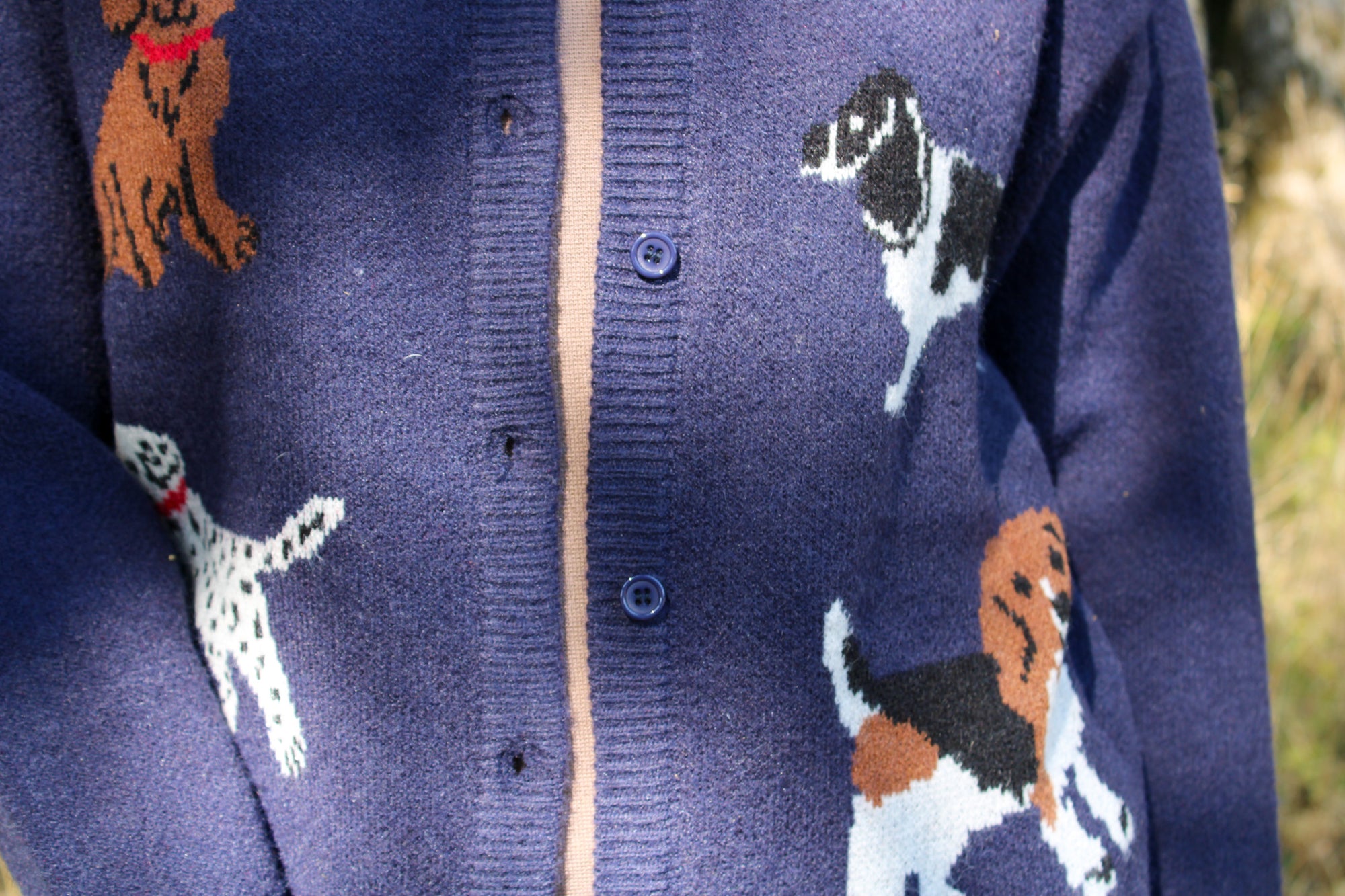 Willow Knit Cardigan Sweater