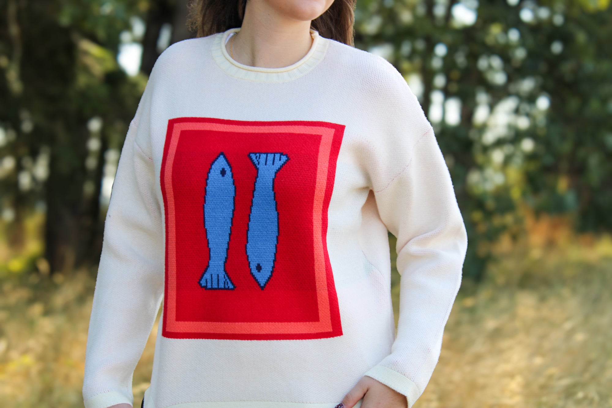 Sardine Coast Sweater Top