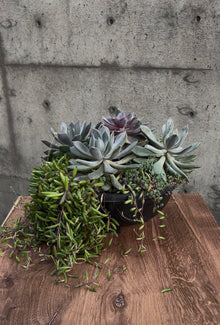 Mesa Bloom Succulent Planter