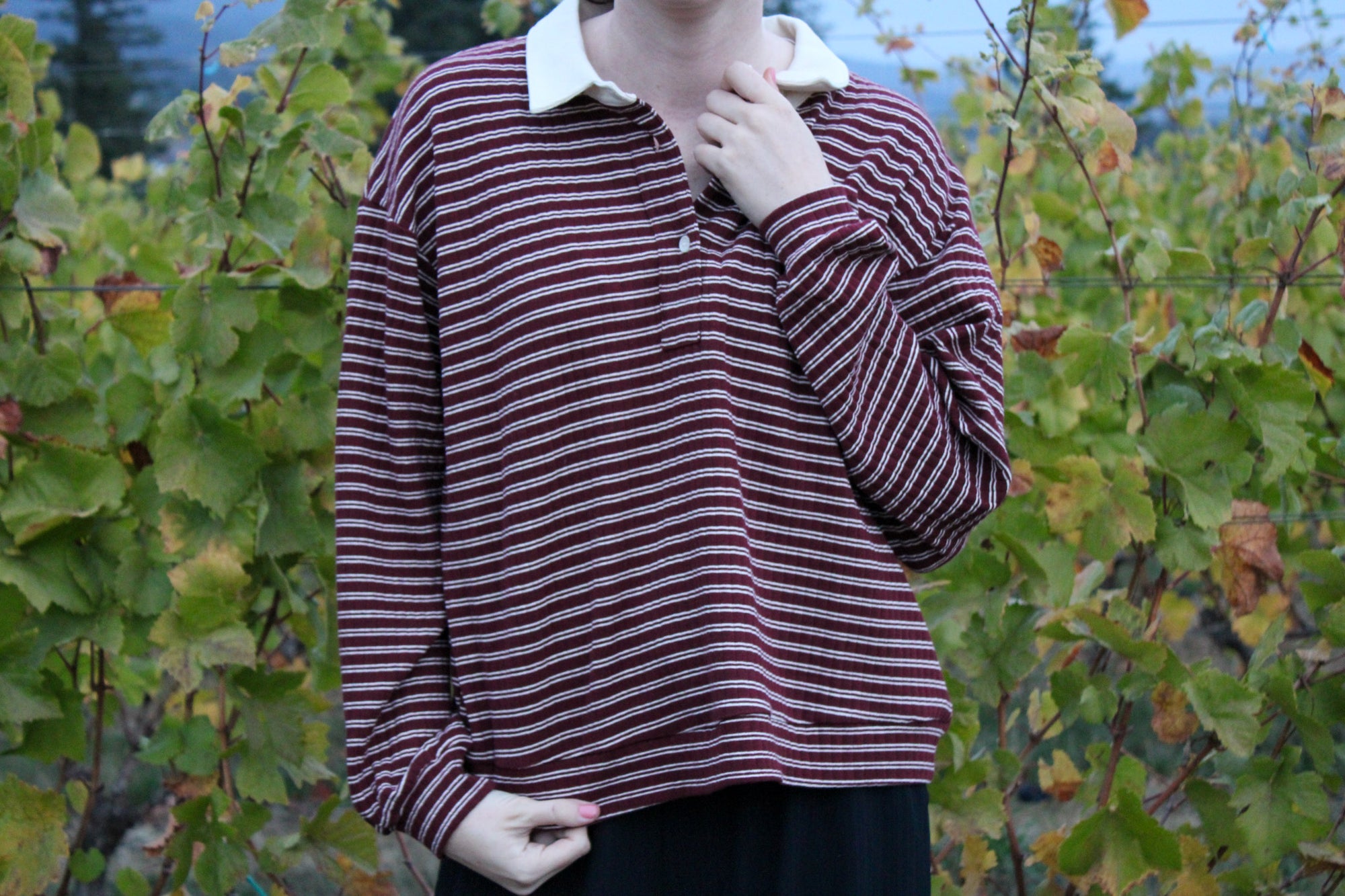 Fallow Striped Half Button Up Collared Pullover