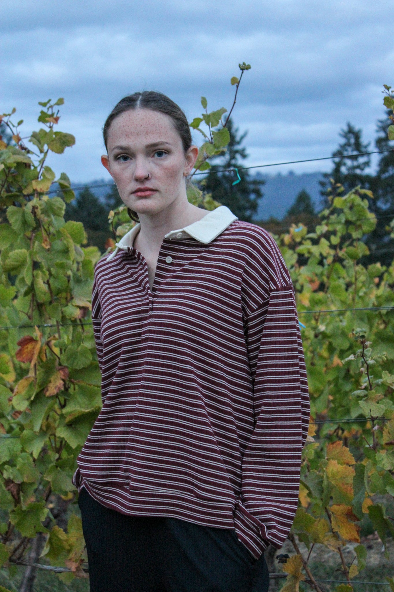 Fallow Striped Half Button Up Collared Pullover